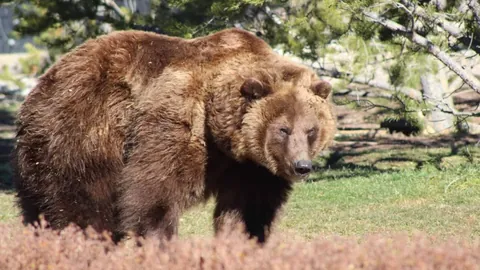 大乐透期号专家质合分析推荐前区十码：利马梅尔加主场对决